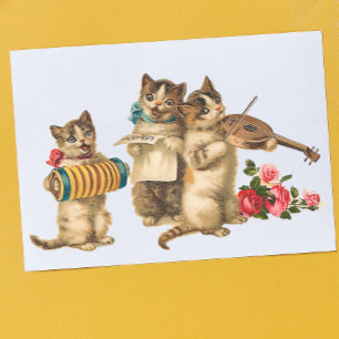 Musical Cats Postcard