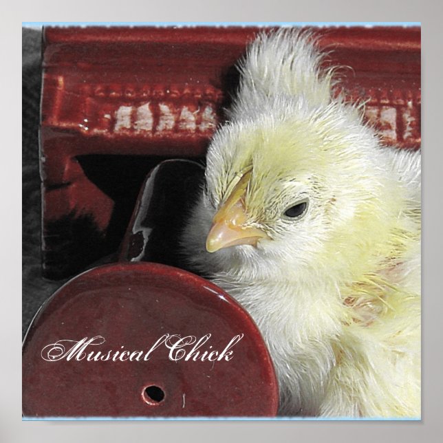 Musical Chick Poster (Front)