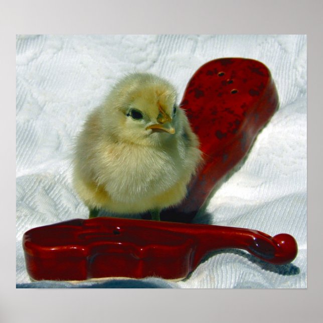 Musical Chick Poster (Front)