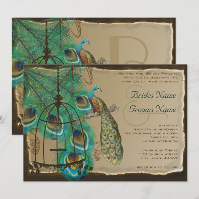 Musical Peacock Bird Cage Feather Burnt Parchment Invitation (Front/Back)