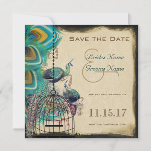 Musical Peacock Bird Cage Love Birds Save the Date