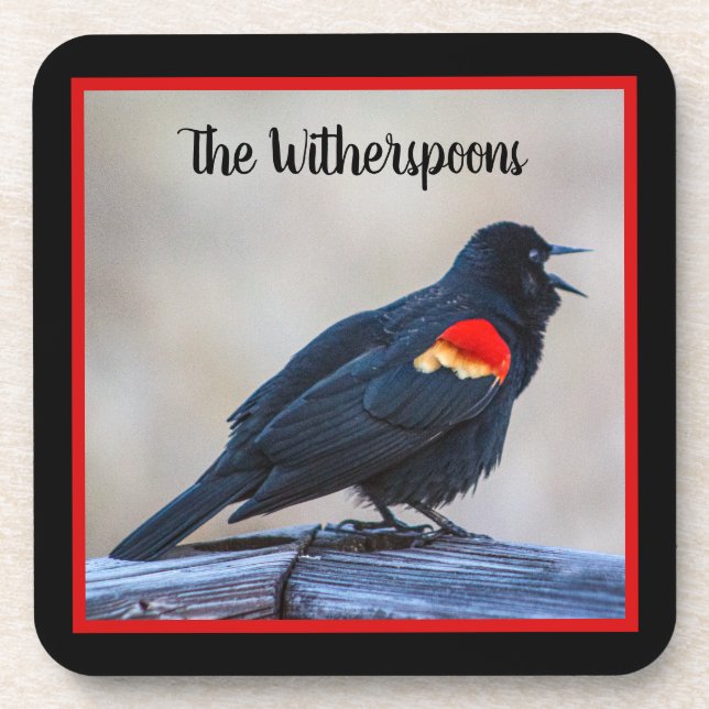 Musical Redwing Blackbird in a Marsh Coaster (Front)