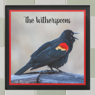 Musical Redwing Blackbird in a Marsh Glass Coaster