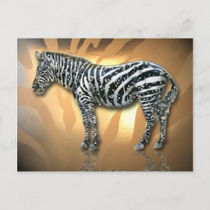 Musical Zebra Postcard
