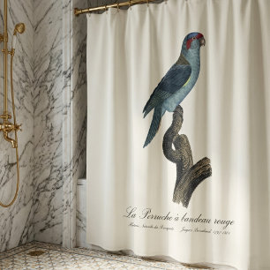Musk Lorikeet, Trichoglossus Concinnus Shower Curtain