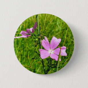Musk-mallow Badge