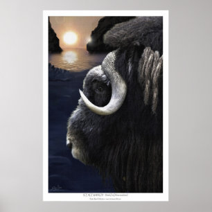 MUSK OX & ARCTIC SUN Art Print
