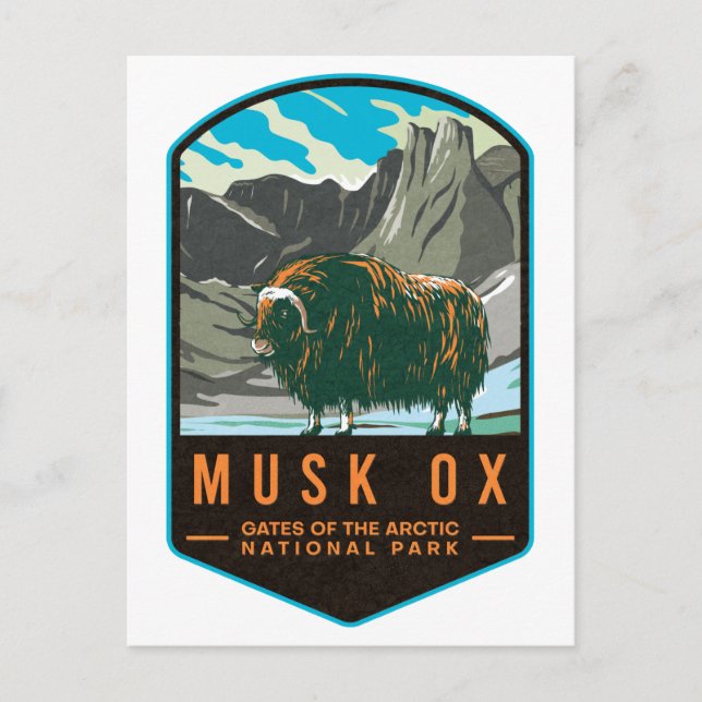 Musk Ox Gates Of The Arctic National Park Postcard (Front)
