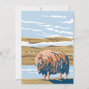 Musk Ox Invitation