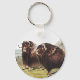 Musk Ox (Ovibos moschatus) Illustration Key Ring