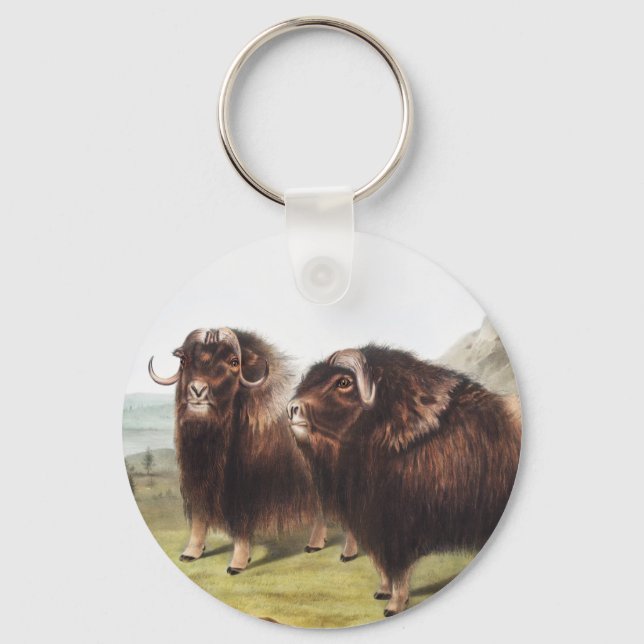 Musk Ox (Ovibos moschatus) Illustration Key Ring (Front)