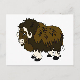 Musk Ox Postcard