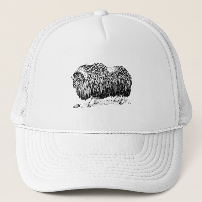 Musk Ox Trucker Hat (Front)