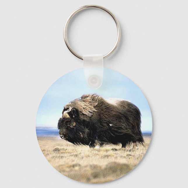 Musk Oxen Key Ring (Front)