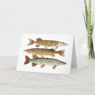 Muskie,Pike & Tiger Card