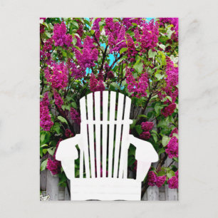 Muskoka / Adirondack Chairs & Lilac Postcard