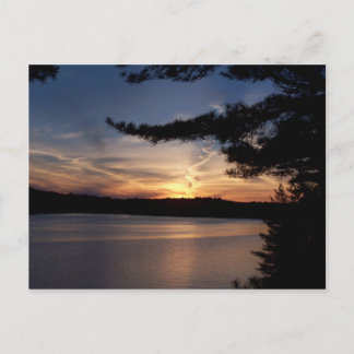 Muskoka Sunset Postcard