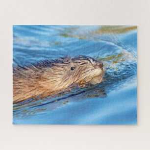 Muskrat at Vassar Farms Ecological Preserve Jigsaw Puzzle