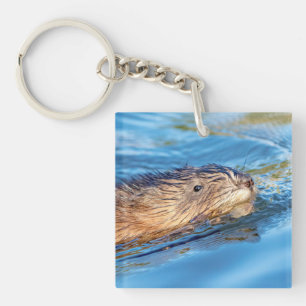Muskrat at Vassar Farms Ecological Preserve Key Ring