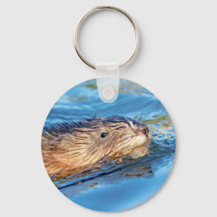 Muskrat at Vassar Farms Ecological Preserve Key Ring