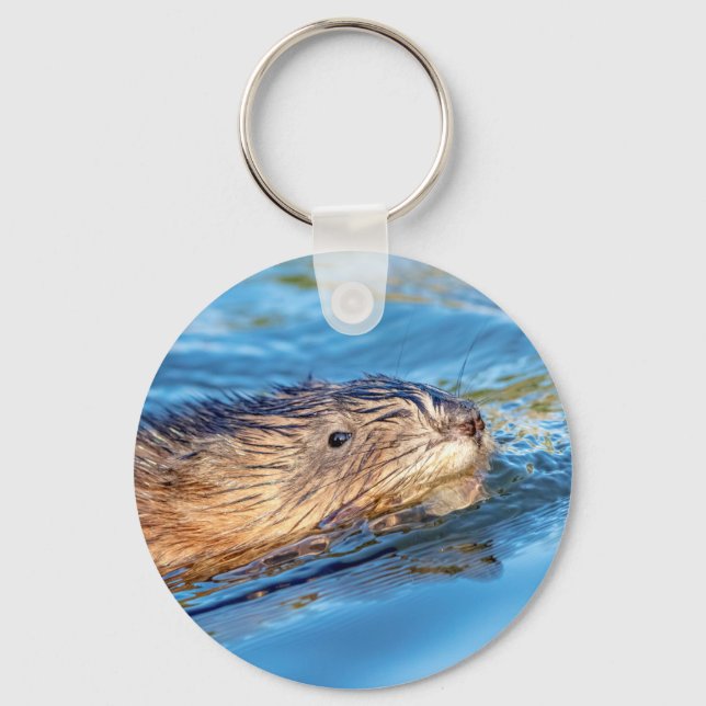 Muskrat at Vassar Farms Ecological Preserve Key Ring (Front)