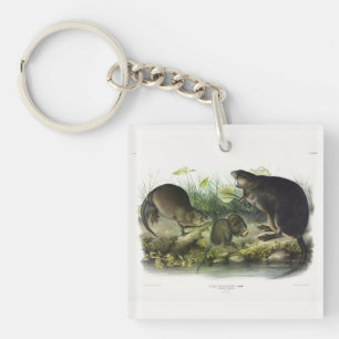 Muskrat from Audubon's Quadrupeds of North America Key Ring
