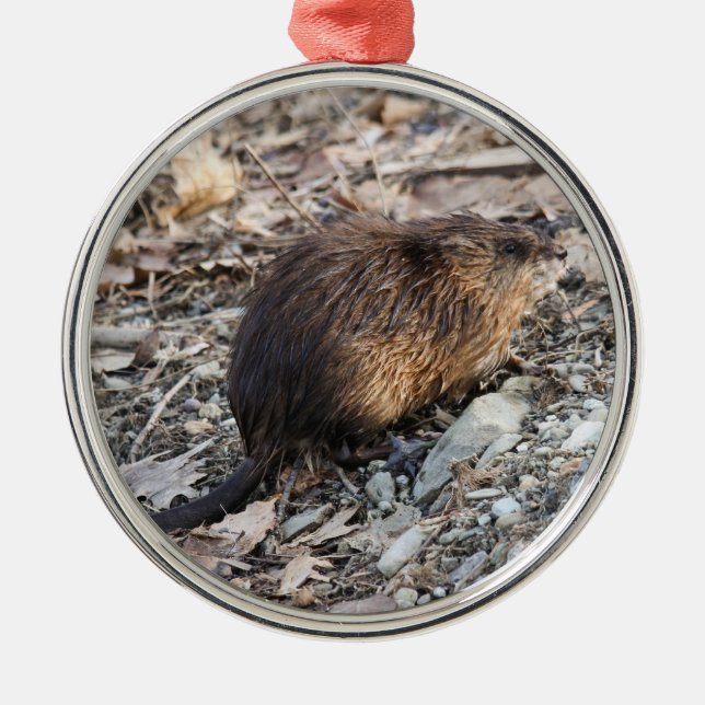 Muskrat Metal Tree Decoration (Front)