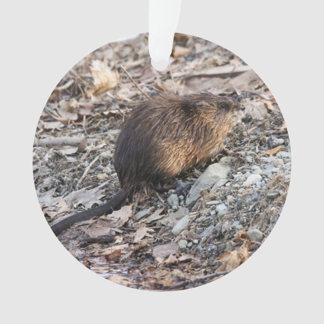 Muskrat Ornament (Front)