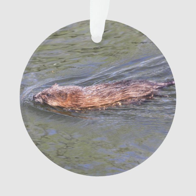 Muskrat Ornament (Front)