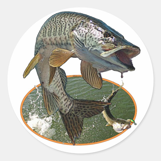 Musky 6 classic round sticker (Front)