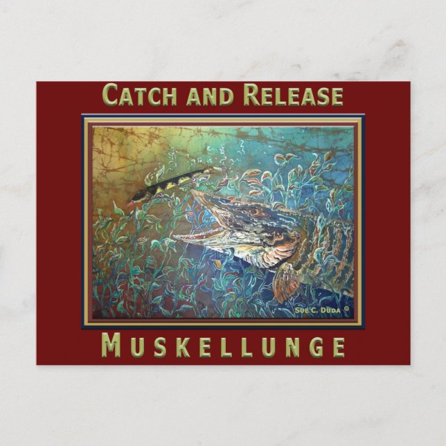 MUSKY C and R Postcard (Front)