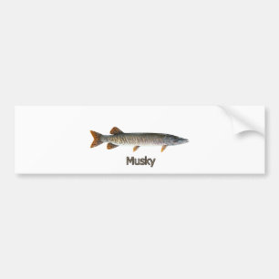 Musky Logo (titled) Bumper Sticker