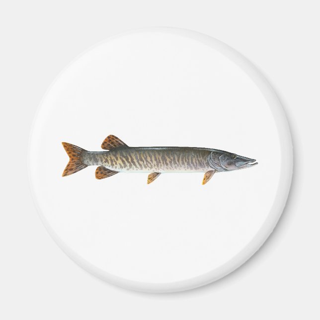 Musky - Muskellunge Magnet (Front)
