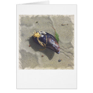 MUSSEL BEACH Card