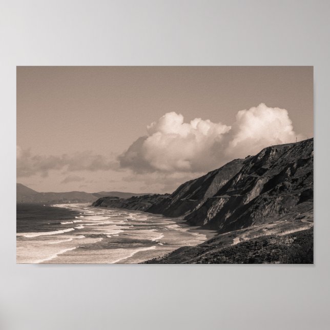 Mussel Poster (Front)