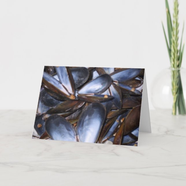 Mussel Shells Greeting Card (Front)