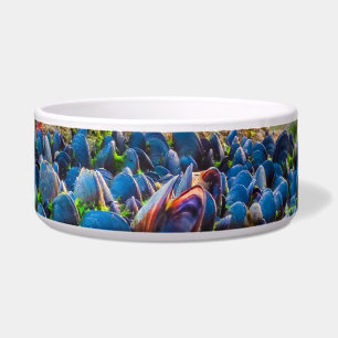 Mussels