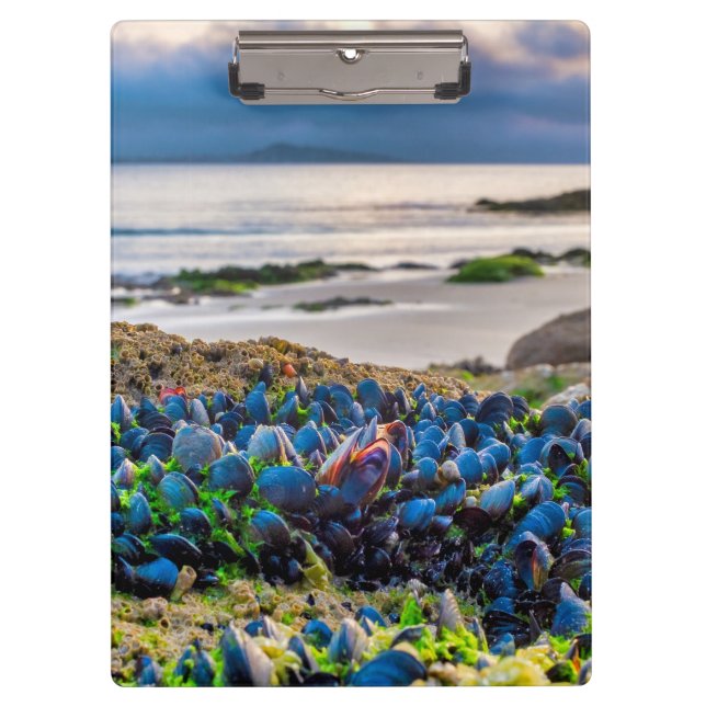 Mussels Clipboard (Front)