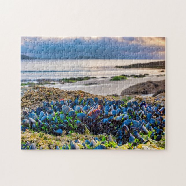 Mussels Jigsaw Puzzle (Horizontal)