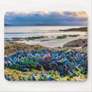 Mussels Mouse Mat