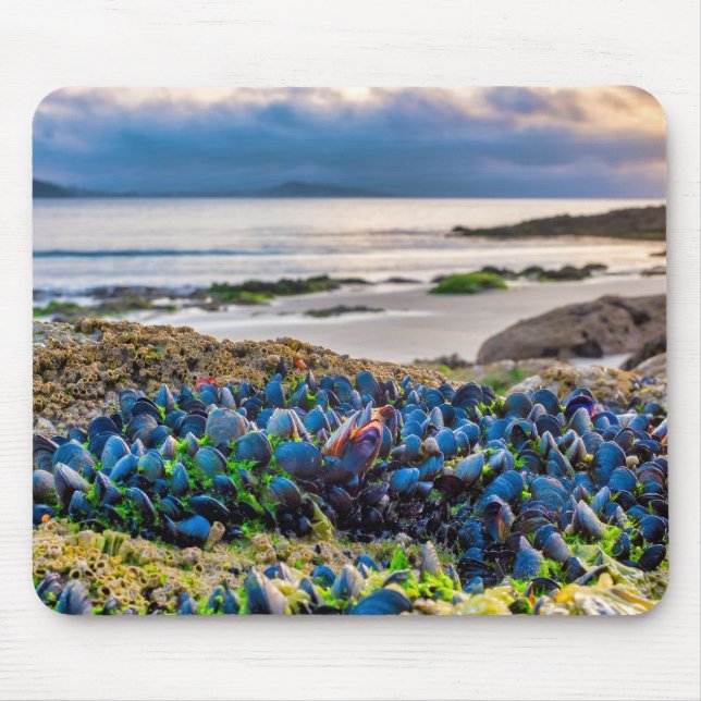Mussels Mouse Mat (Front)