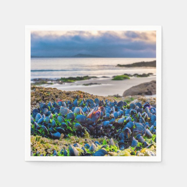 Mussels Napkin (Front)