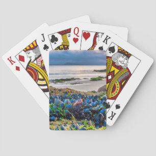 Mussels Playing Cards