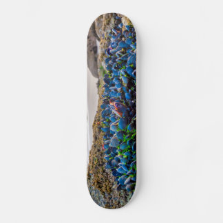 Mussels Skateboard