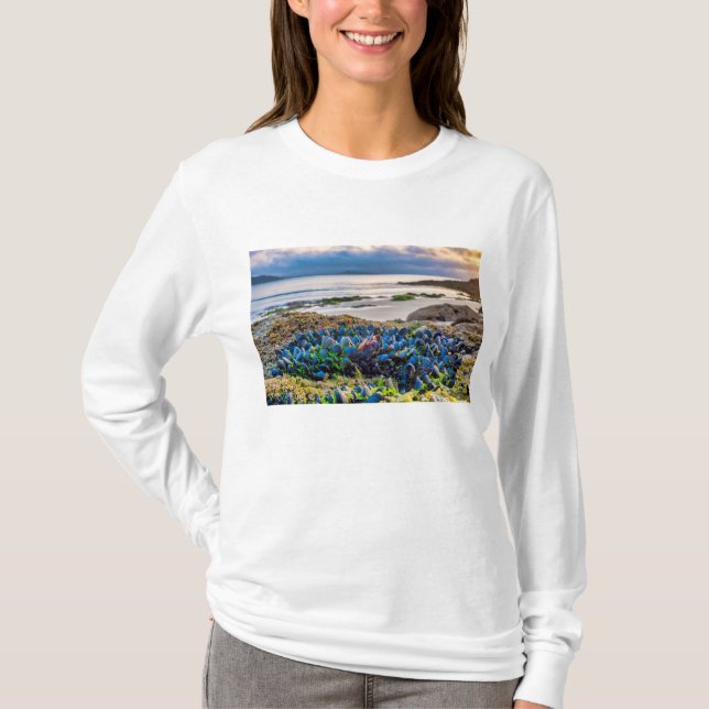 Mussels T-Shirt (Front)