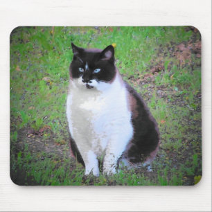 MUSTACHE CAT IS WATCHING MOUSE MAT