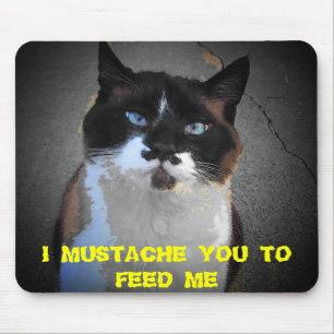 MUSTACHE YOU CAT IS HUNGRY MOUSE MAT