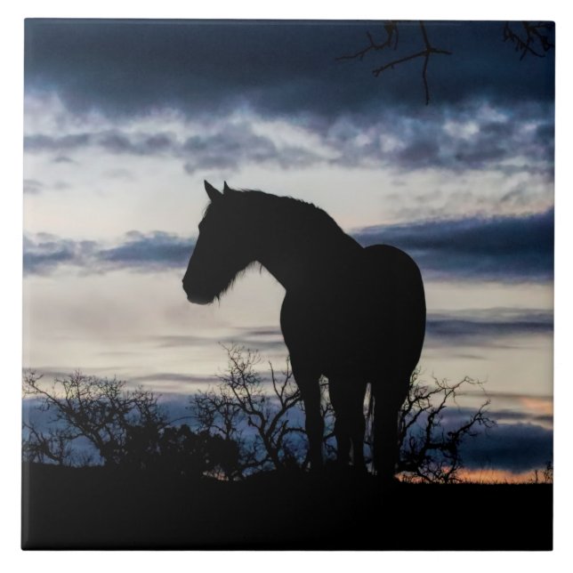 Mustang and Storm Fine Art Tile (Front)