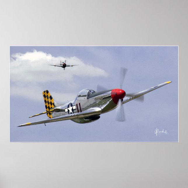 Mustang and Thunderbolt Poster (Front)