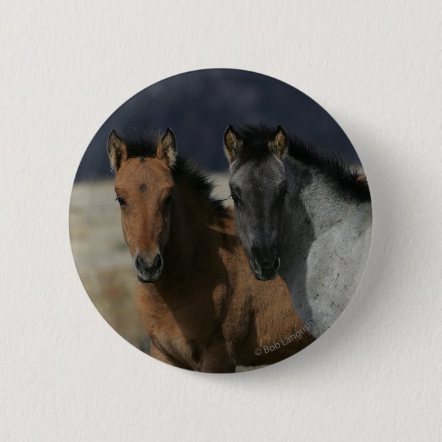 Mustang Foal Headshot 6 Cm Round Badge (Front)